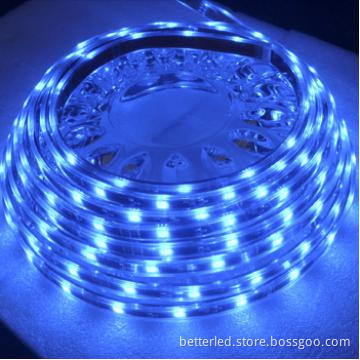 High quality IP65 waterproof SMD5050 Led ribbon,DC24V